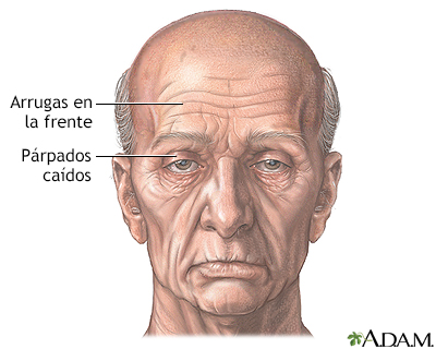 La momia la máscara para la persona